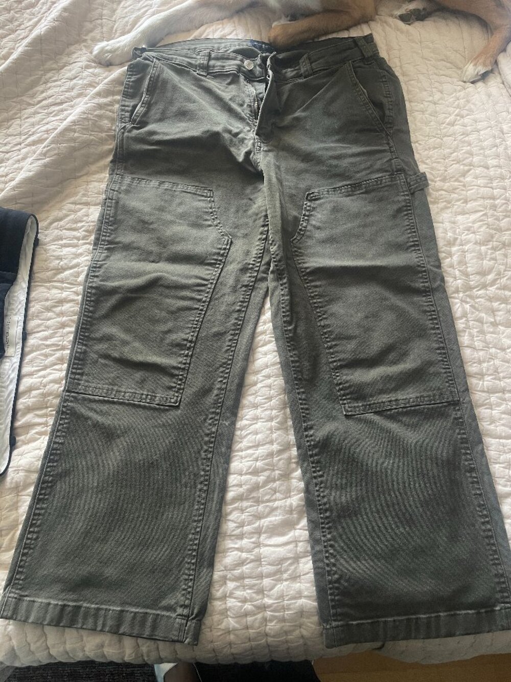 Abercrombie baggy carpenter pants